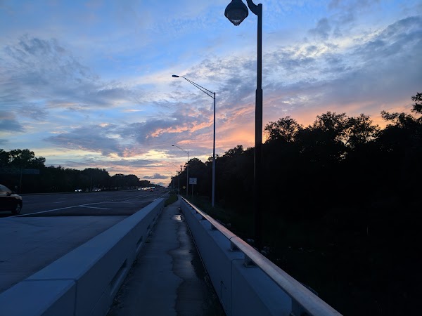 Representative image for Temple Terrace, Florida