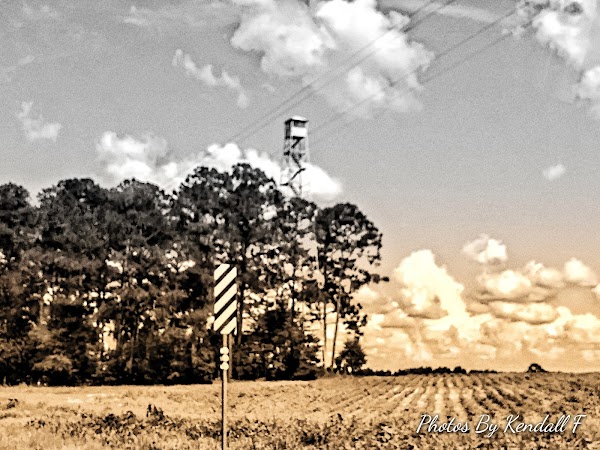 Representative image for Ashburn, Georgia