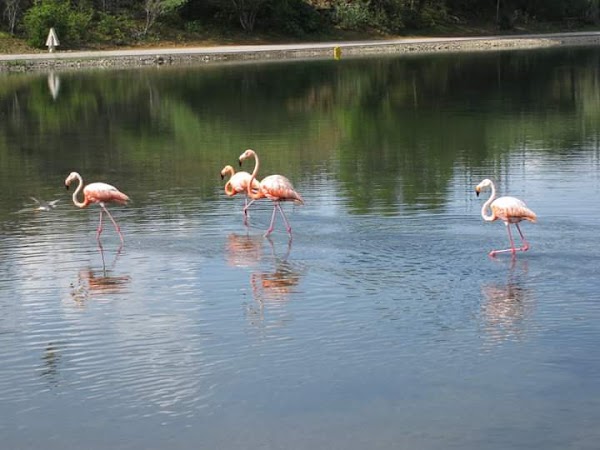 Representative image for Bonaire, Georgia