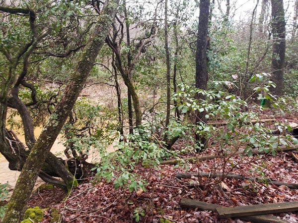 Representative image for Clermont, Georgia