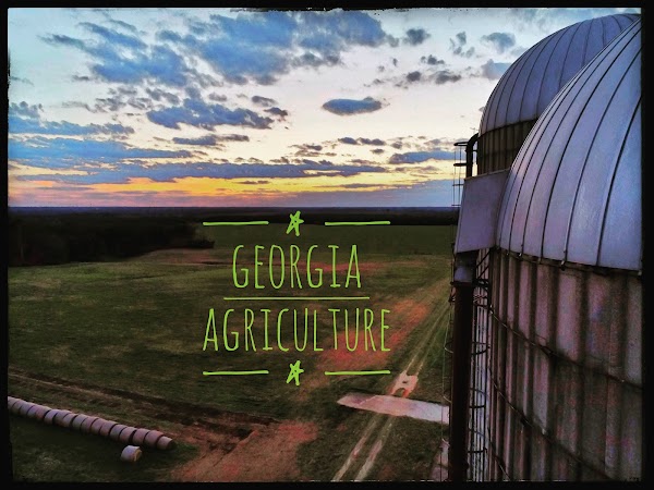 Representative image for Fort Valley, Georgia