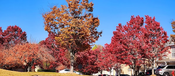 Representative image for Johns Creek, Georgia