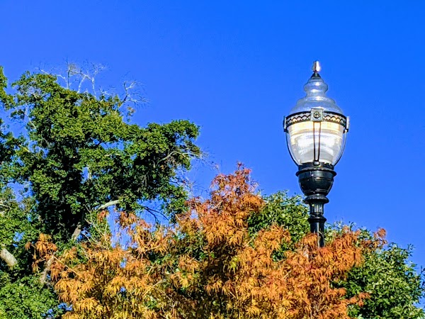 Representative image for Mcdonough, Georgia