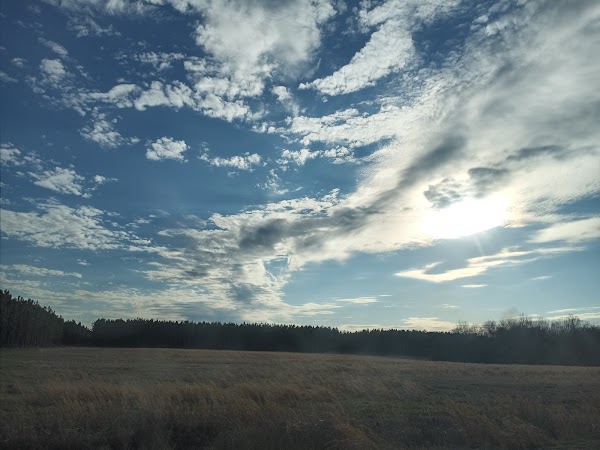 Representative image for Sylvania, Georgia