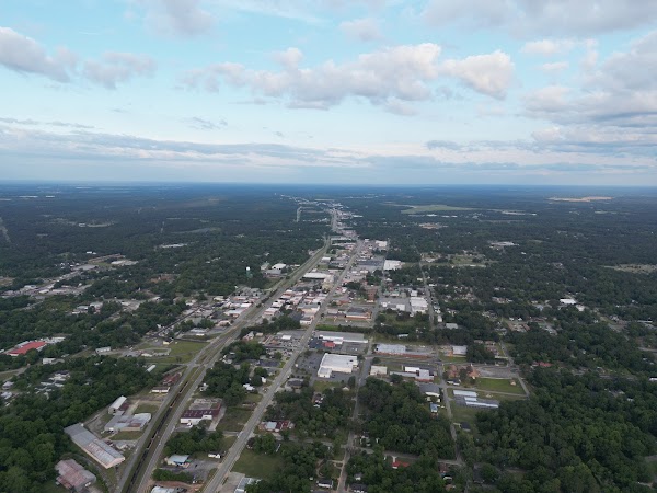 Representative image for Vidalia, Georgia