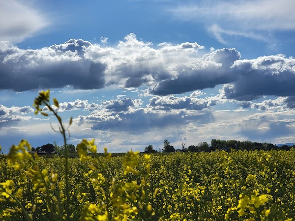 Representative image for Fruitland, Idaho