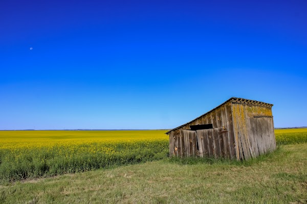 Representative image for Grangeville, Idaho