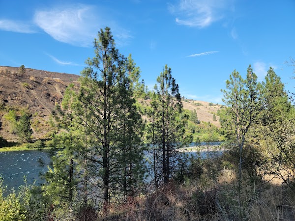 Representative image for Orofino, Idaho