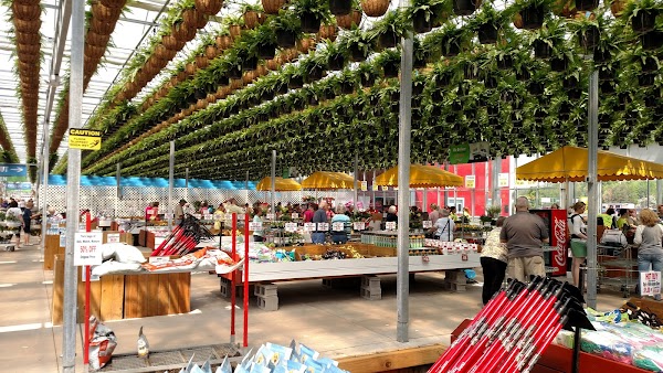 Representative image for Countryside, Illinois
