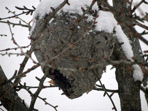 Representative image for Hickory Hills, Illinois
