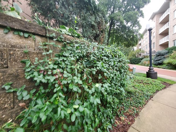 Representative image for Park Ridge, Illinois