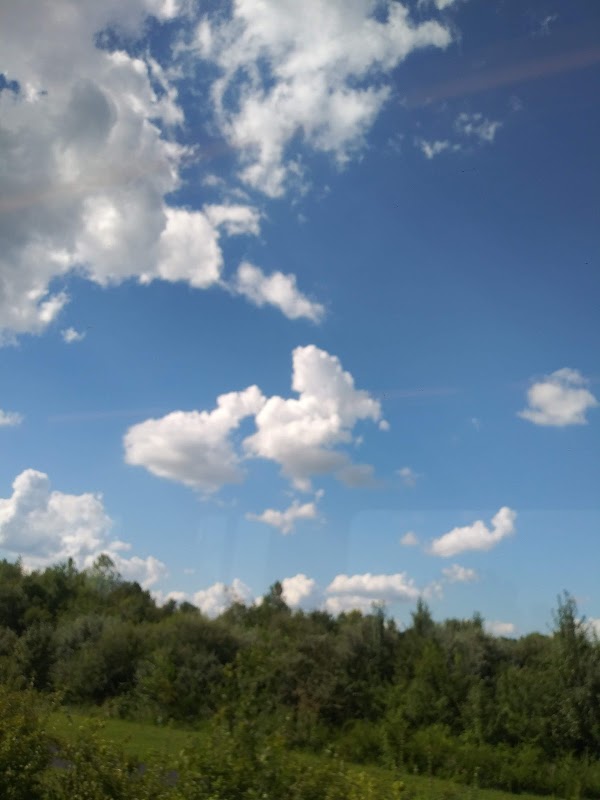 Representative image for Shiloh, Illinois