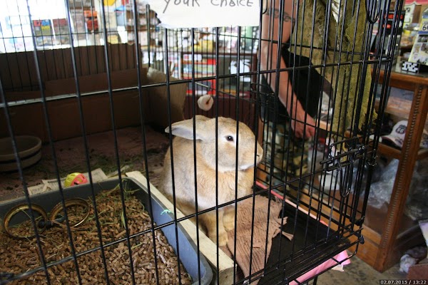 Representative image for Staunton, Illinois