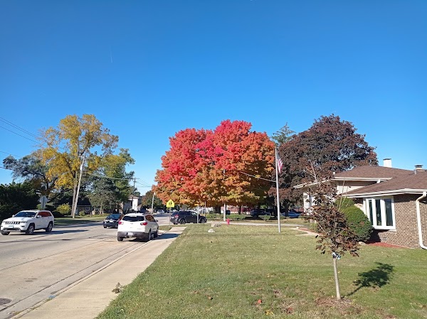 Representative image for Worth, Illinois