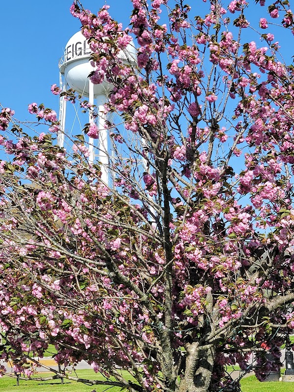 Representative image for Zeigler, Illinois