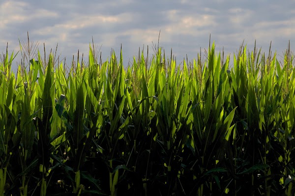 Representative image for La Porte, Indiana