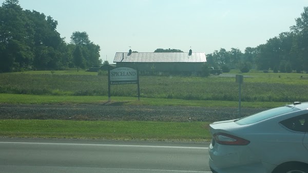 Representative image for Spiceland, Indiana