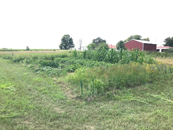Representative image for Grundy Center, Iowa