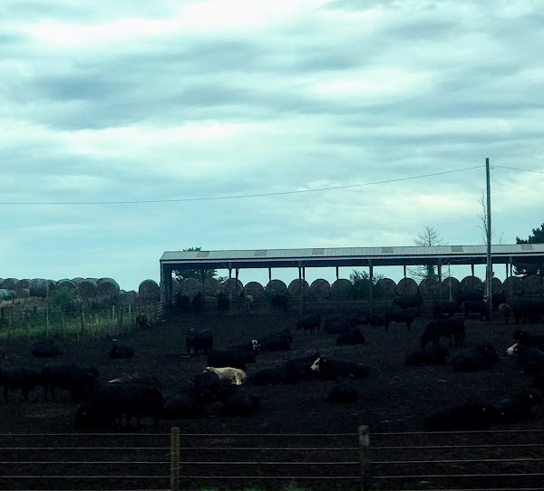 Representative image for Odebolt, Iowa