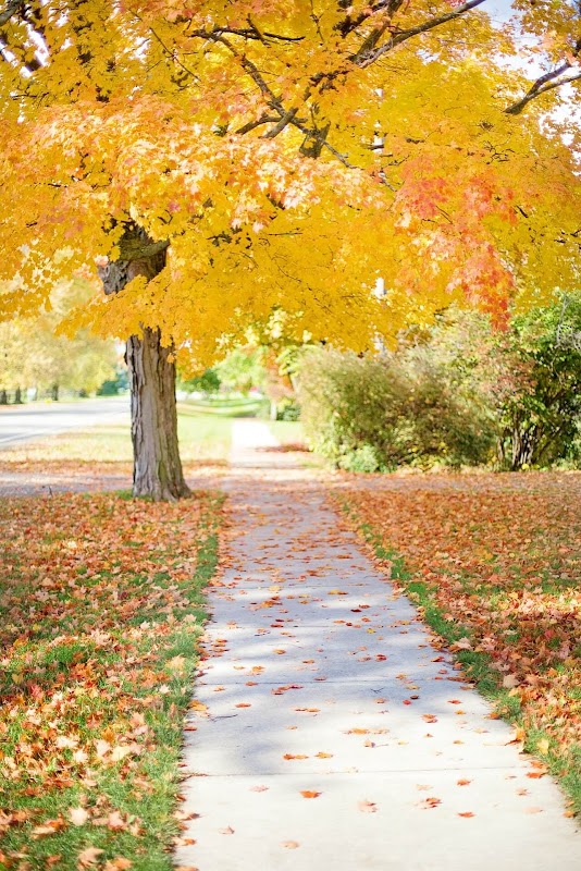 Representative image for Tripoli, Iowa