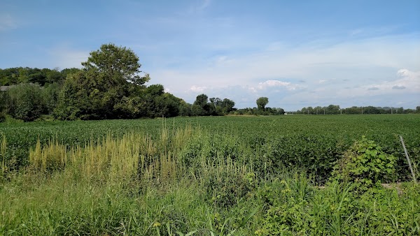 Representative image for Shawnee Mission, Kansas