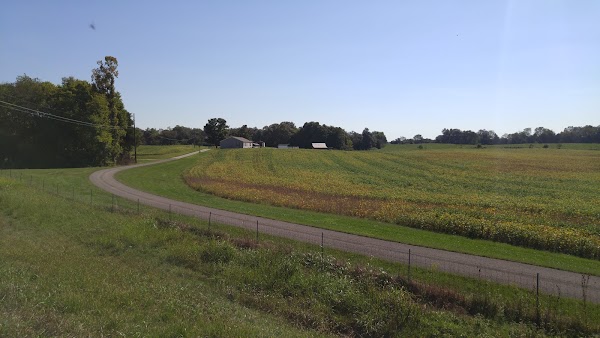 Representative image for Leitchfield, Kentucky