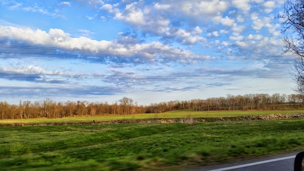 Representative image for Murray, Kentucky