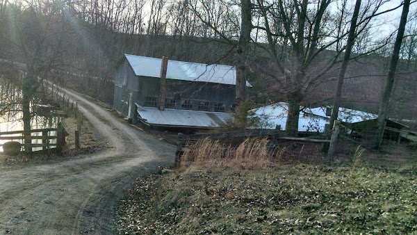 Representative image for Scottsville, Kentucky