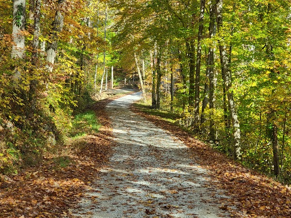 Representative image for Somerset, Kentucky