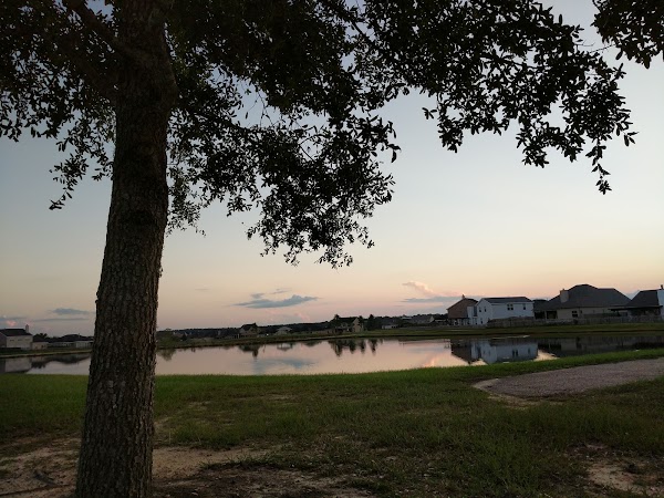 Representative image for Covington, Louisiana
