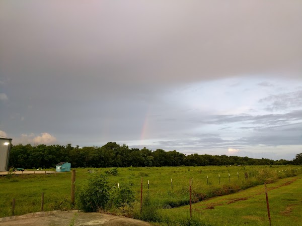 Representative image for Cut Off, Louisiana