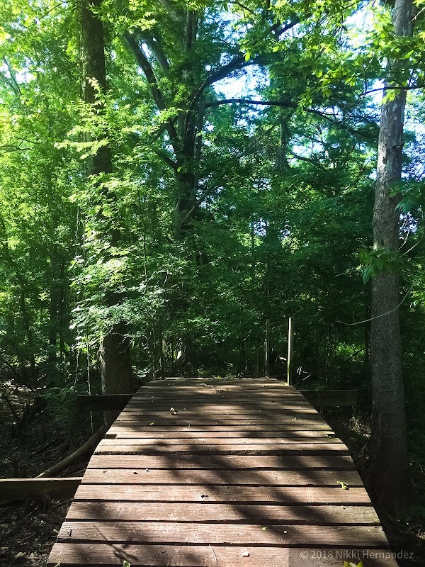 Representative image for Evergreen, Louisiana