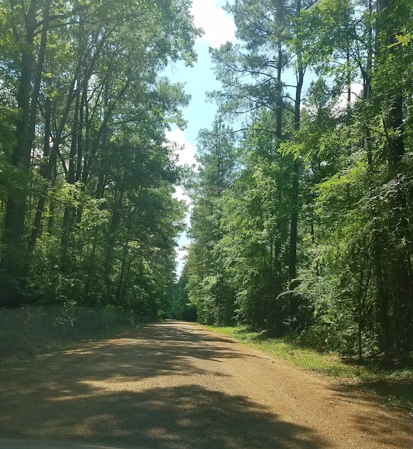 Representative image for Jena, Louisiana