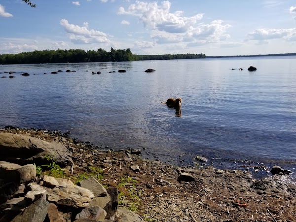 Representative image for Newport, Maine