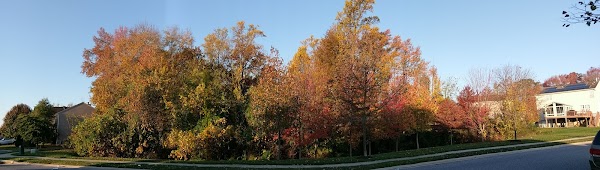 Representative image for Belcamp, Maryland