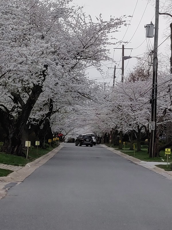 Representative image for Bethesda, Maryland