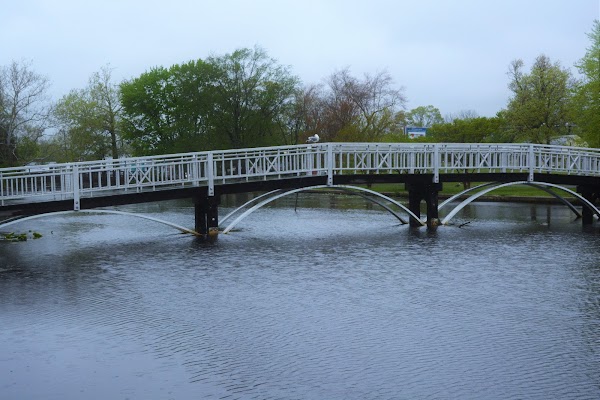 Representative image for Salisbury, Maryland