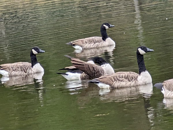 Representative image for Waldorf, Maryland