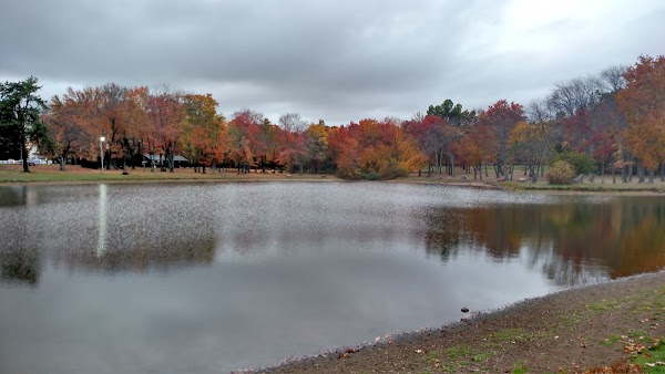 Representative image for East Long Meadow, Massachusetts