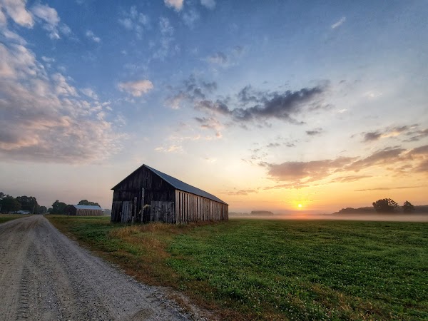 Representative image for Hadley, Massachusetts