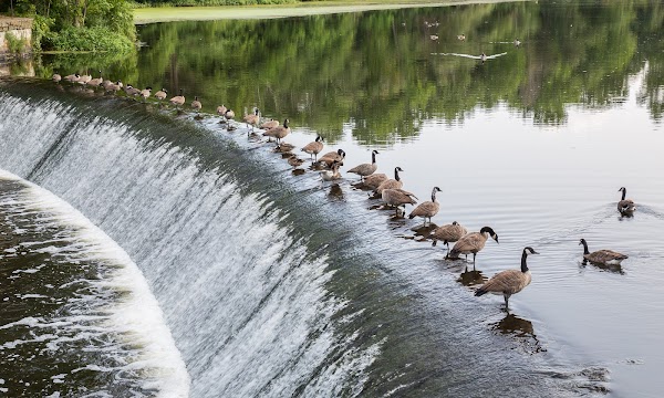 Representative image for Needham, Massachusetts