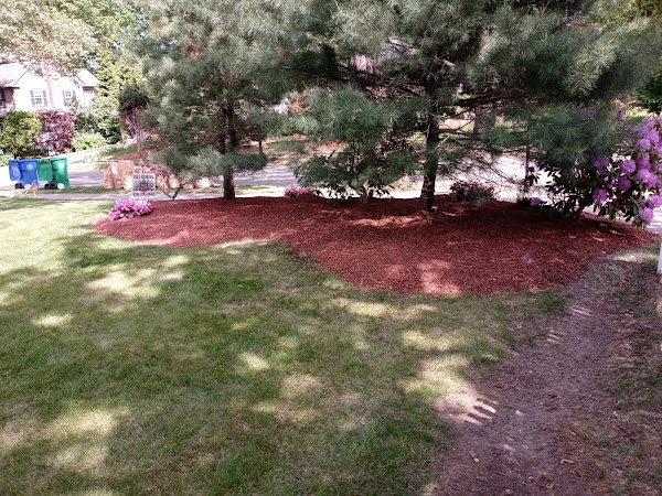 Representative image for Newton, Massachusetts