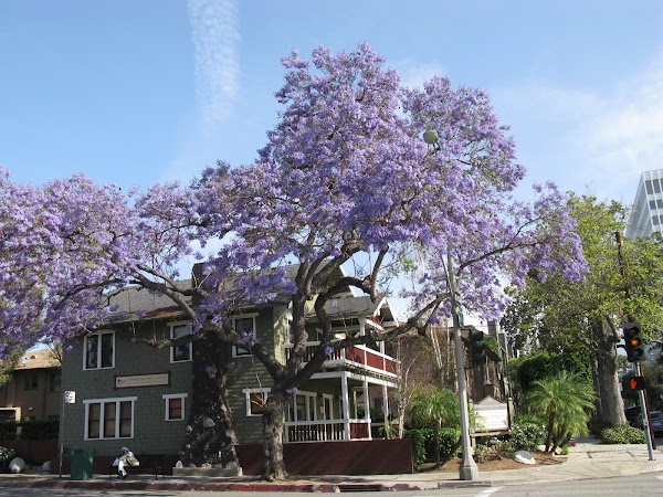 Representative image for Peabody, Massachusetts