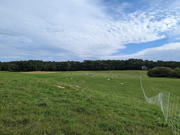 Representative image for Southborough, Massachusetts