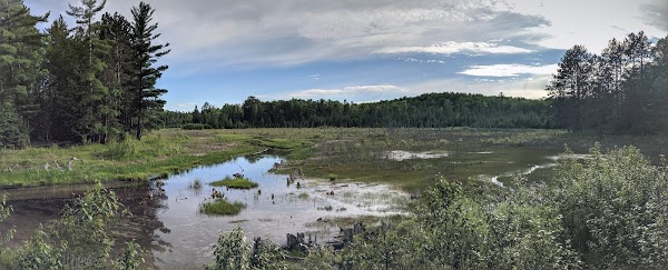 Representative image for Albert Township, Michigan