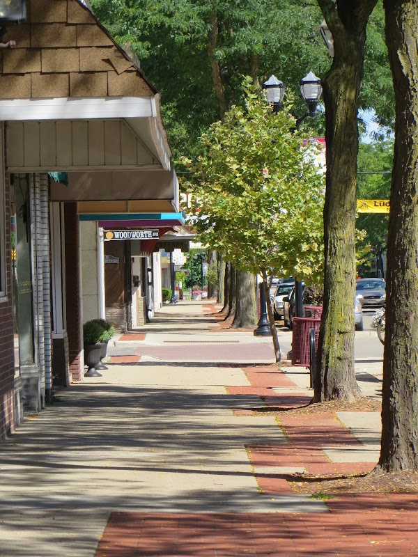 Representative image for Alma, Michigan
