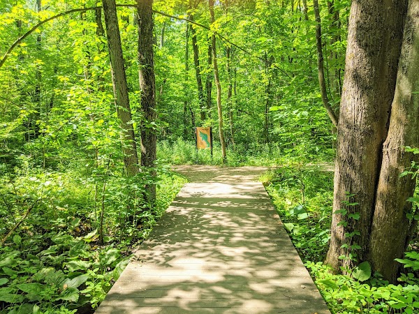Representative image for Belmont, Michigan