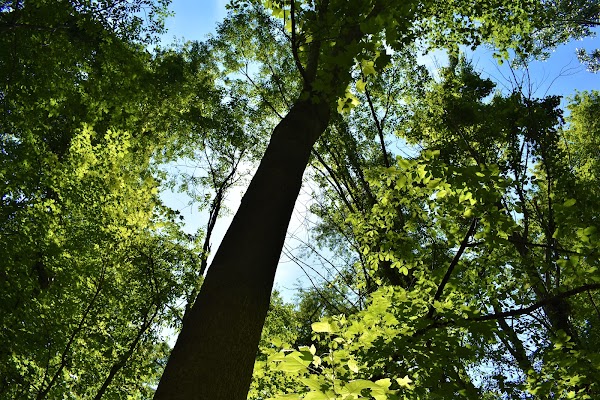 Representative image for Berrien Center, Michigan