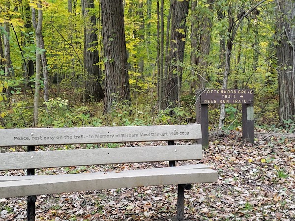 Representative image for Bridgeport Charter Township, Michigan