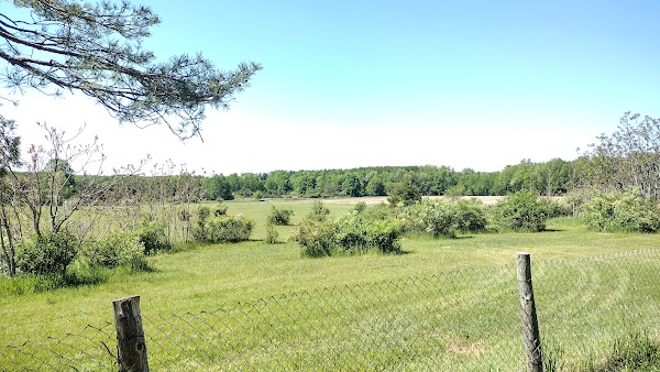 Representative image for Caro, Michigan